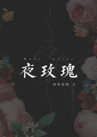 夜玫瑰(全文)